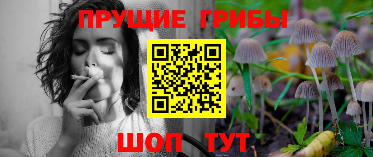 Старая Купавна  где найти наркотики  Галлюциногенные грибы мухоморы  Вход с VPN  Галлюциногенные грибы мицелий 